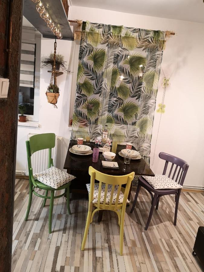 Appartement Little Modern Folk Apt à Vălenii de Munte Extérieur photo